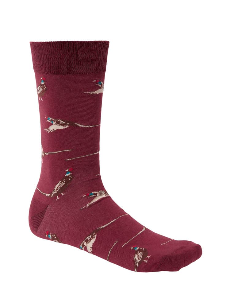 Fox Red Pheasant